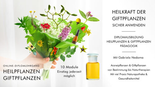 Diplomlehrgang Heilpflanzen & Giftpflanzen für die Gesundheit