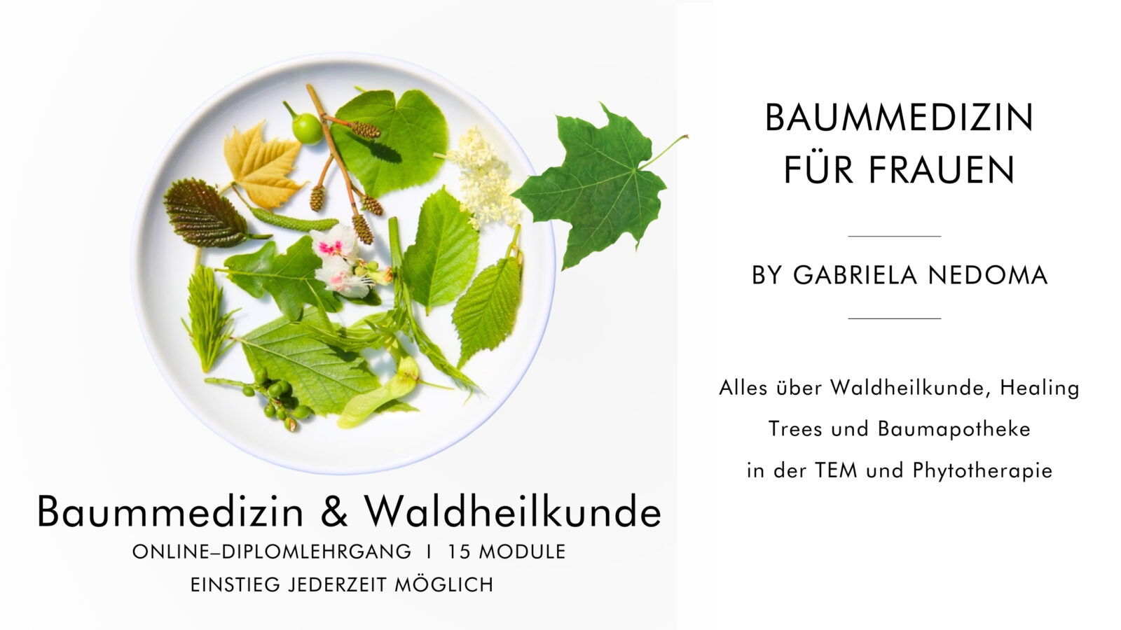 Diplomlehrgang Baummedizin