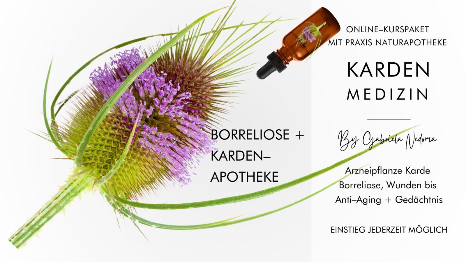 KARDEN–MEDIZIN & BORRELIOSE