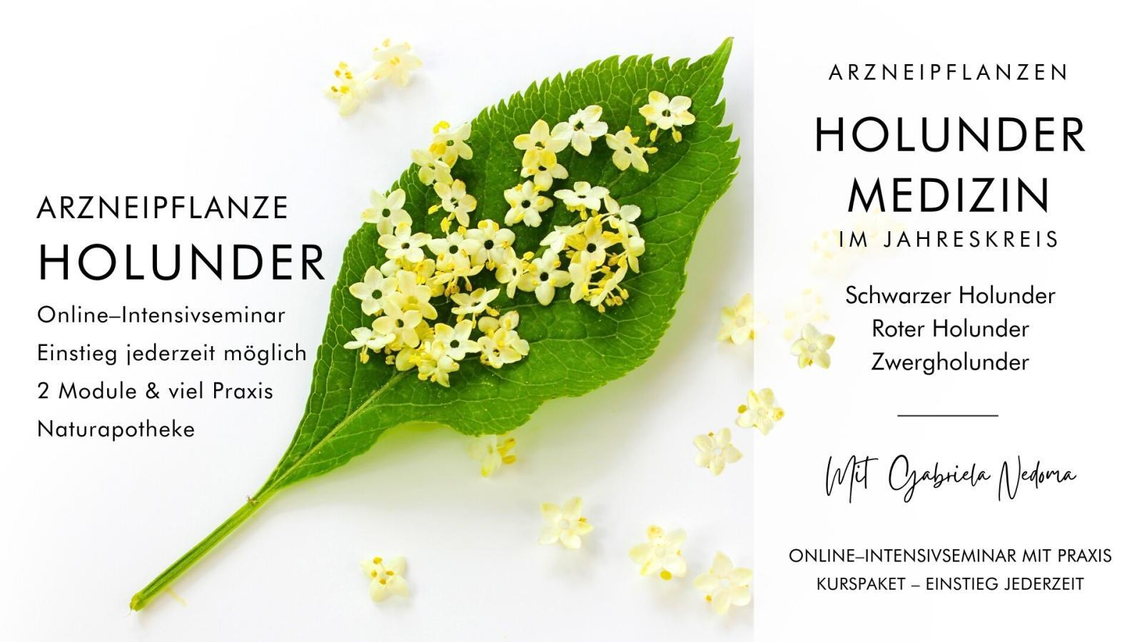 Holunder-Medizin