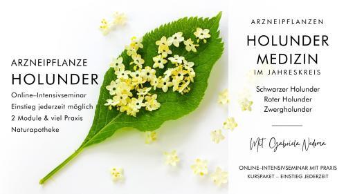 Holunder-Medizin