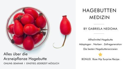 ARZNEIPFLANZE HAGEBUTTE