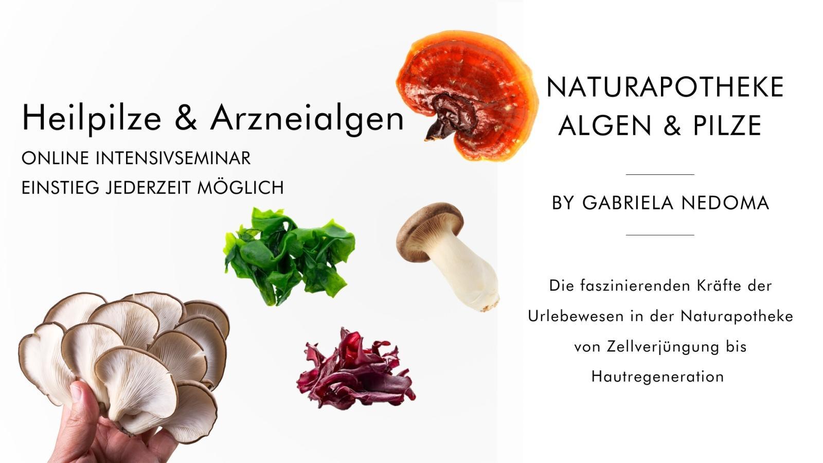 HEILPILZE & ARZNEIALGEN