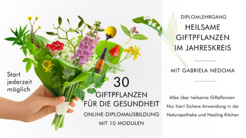 Diplomlehrgang Heilkraft der Giftpflanzen für die Gesundheit