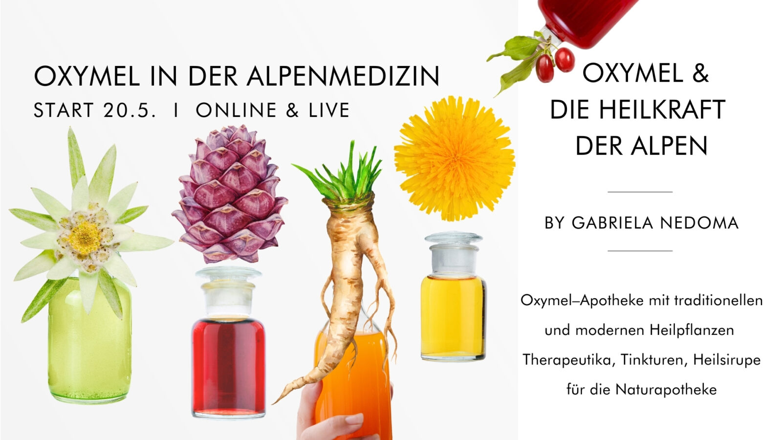 OXYMEL & DIE ALPENMEDIZIN