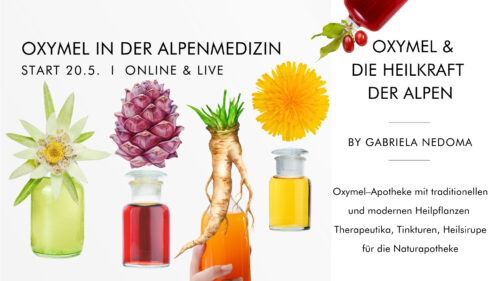 OXYMEL & DIE ALPENMEDIZIN