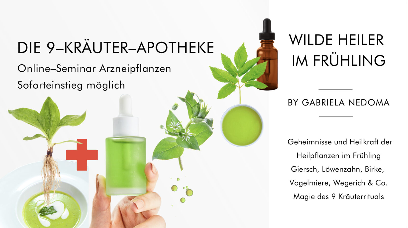 9-HEILKRÄUTER–APOTHEKE