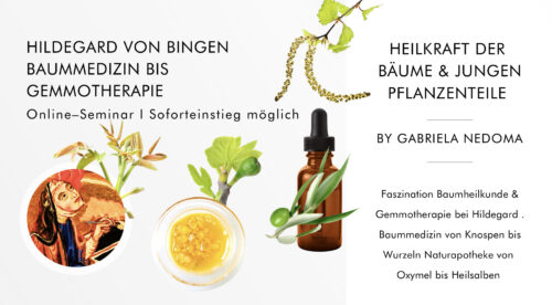 Hildegard von Bingen: Baummedizin + Gemmotherapie