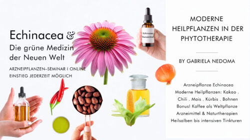 ECHINACEA + DIE GRÜNE MEDIZIN DER NEUEN WELT