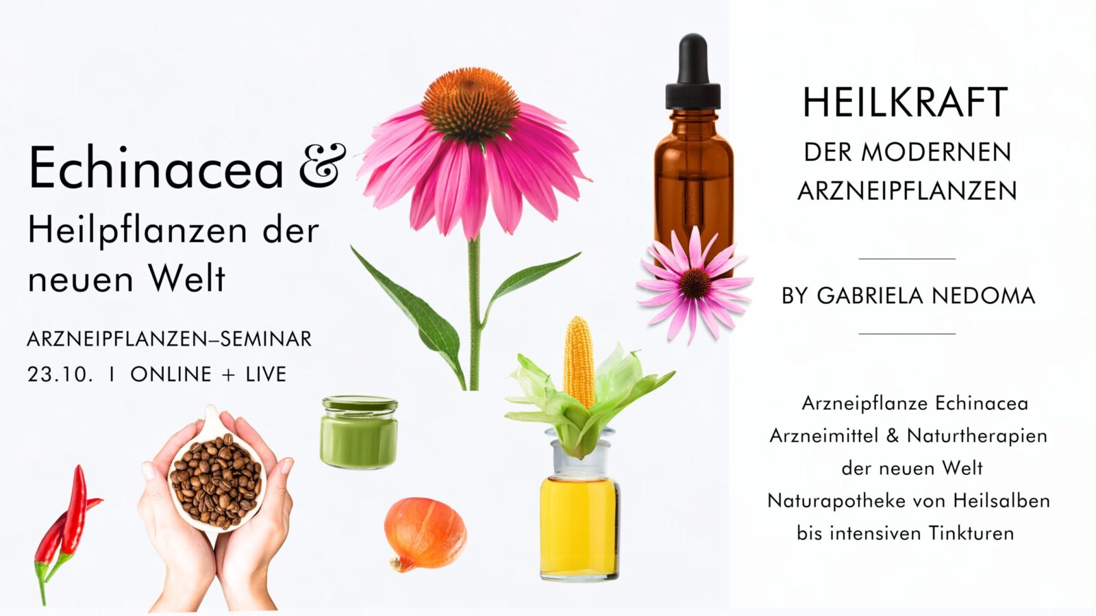 ECHINACEA + HEILPFLANZEN DER NEUEN WELT