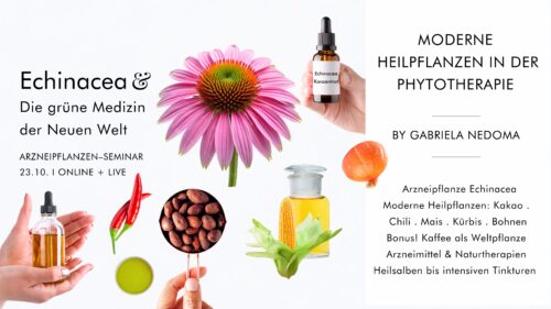 ECHINACEA + DIE GRÜNE MEDIZIN DER NEUEN WELT