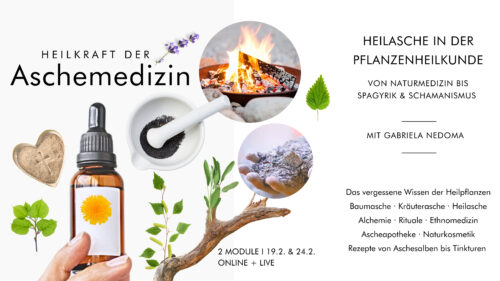 ASCHEMEDIZIN VON BAUMASCHE BIS ASCHEAPOTHEKE