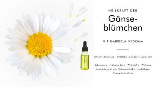 HEILKRAFT DER GÄNSEBLÜMCHEN