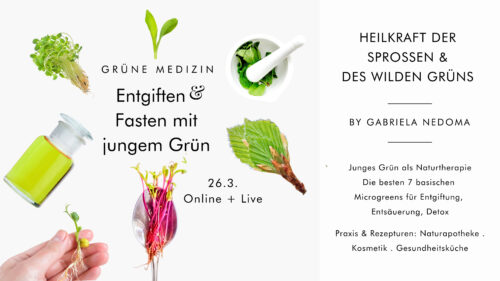 HEILKRAFT DER MICROGREENS