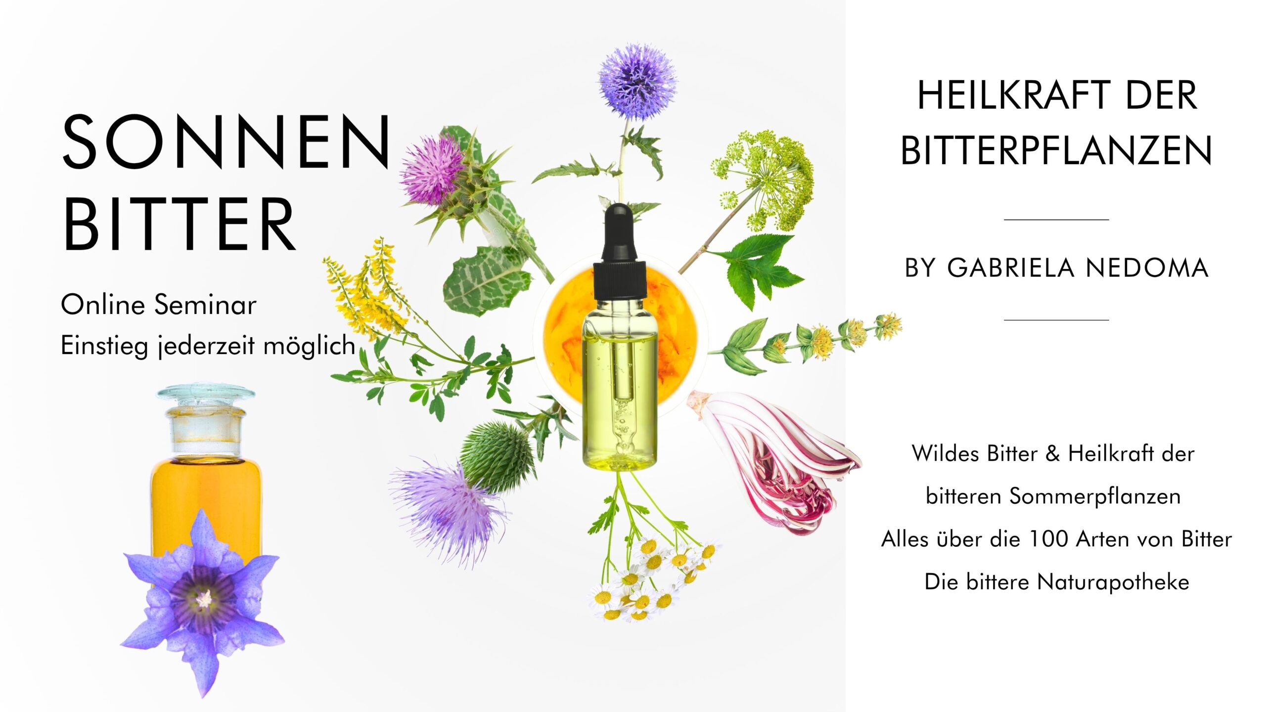 BITTERPFLANZEN FÜR DIE GESUNDHEIT