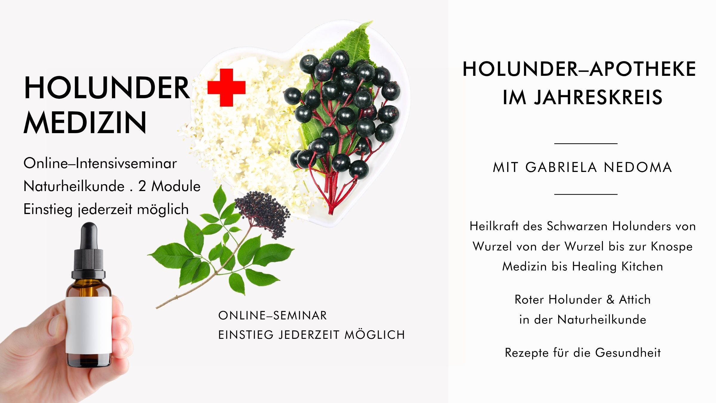 Holunder-Medizin im Jahreskreis