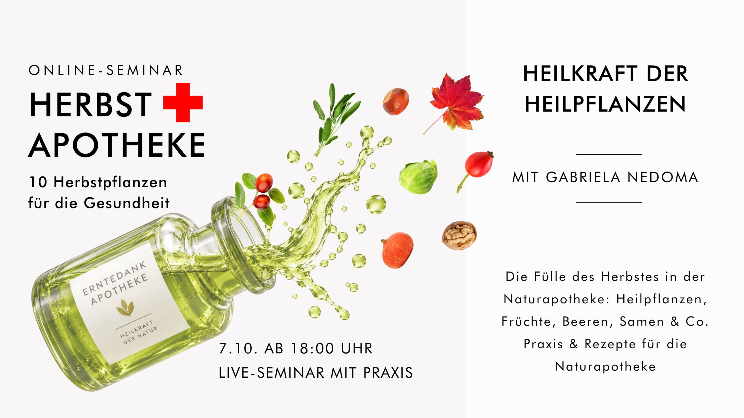 HERBSTAPOTHEKE: HEILKRAFT DER HEILPFLANZEN